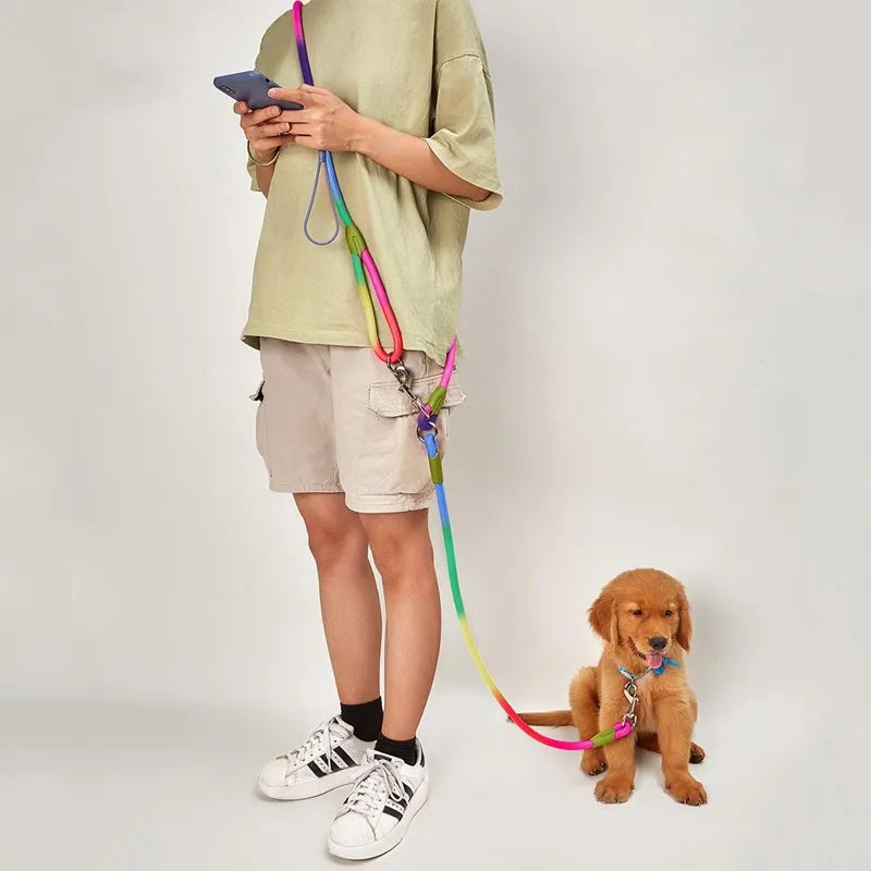 Reflective Nylon Leashes for Pets